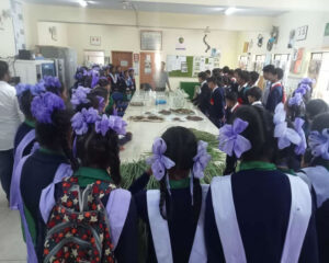 WhatsApp Image 2025-04-22 at 10.53.49 AM (2)